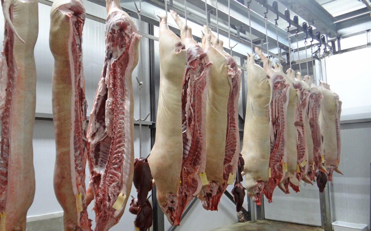 Olymel to permanently close hog slaughtering and cutting plant