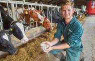 Bel rolls out methane-reducing feed for Slovakian dairy farms