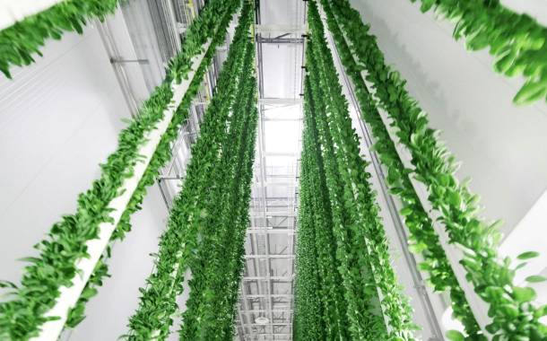 Plenty opens “world’s most technologically advanced” indoor vertical farm