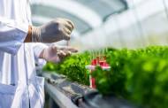 The51 Food and AgTech GP closes $30m funding round