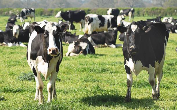 USDA offers organic dairy producers cover for increased costs
