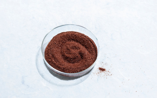 Cabosse Naturals launches cacao fruit powder