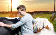 FrieslandCampina and Mondelēz partner to reduce milk GHG emissions