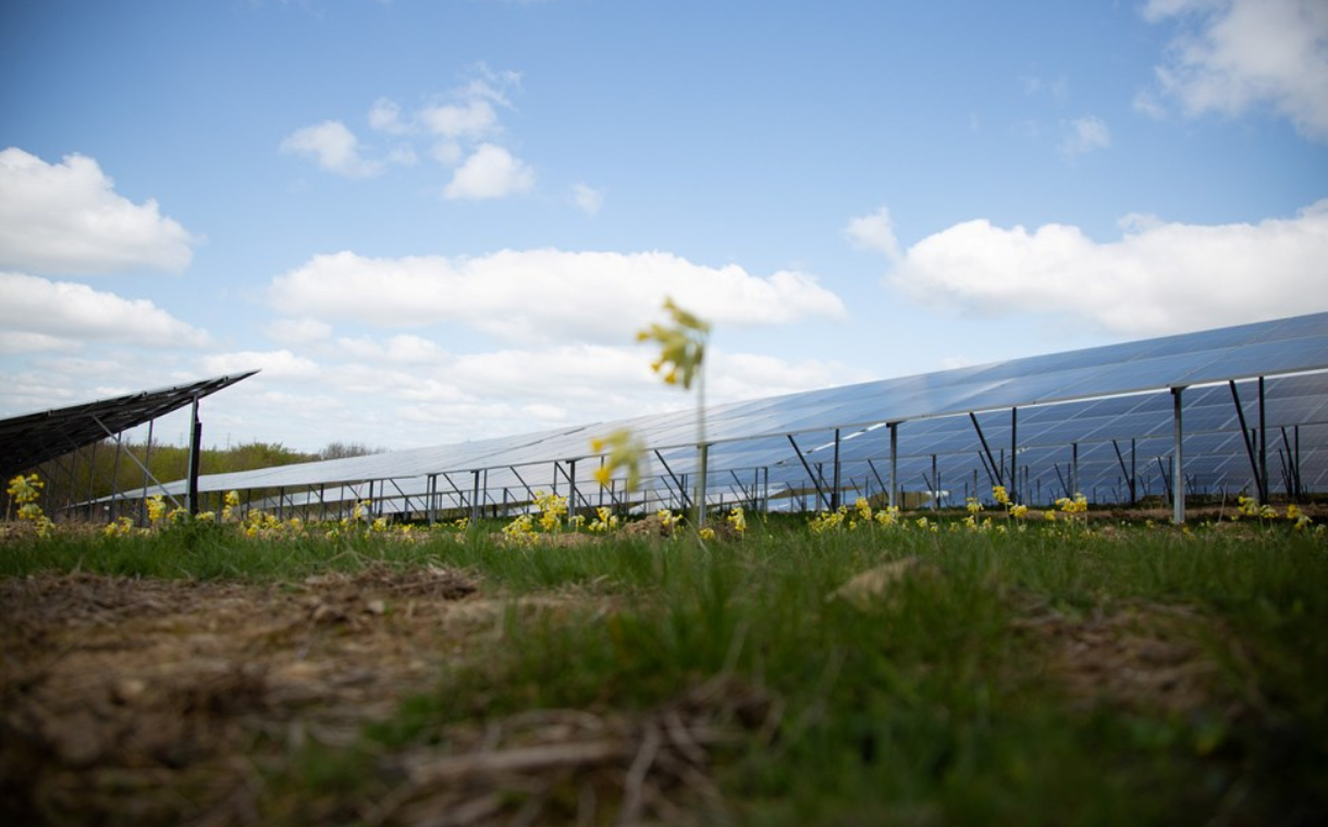Arla to build two UK solar parks