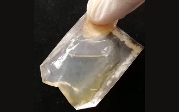 Researchers create edible, transparent packaging with bio-cellulose