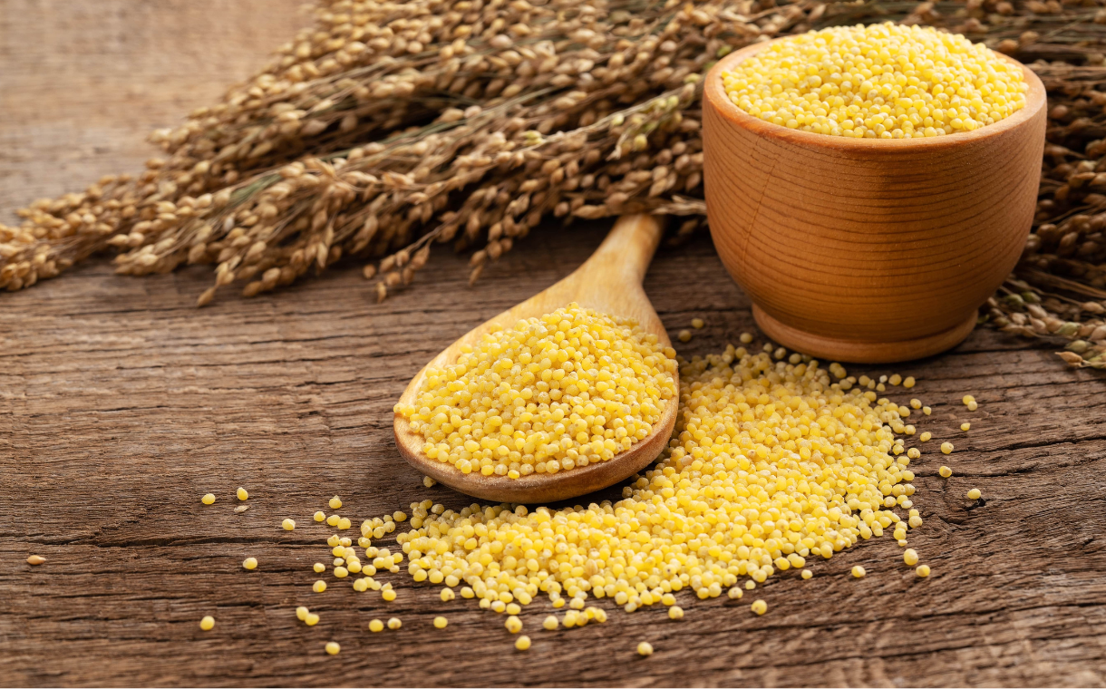 Opinion: Millet – An ancient grain solution for modern global challenges