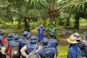 Bunge partners with Musim Mas to promote sustainable palm oil production in Indonesia