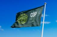 COP28: The UN’s net zero food plan 