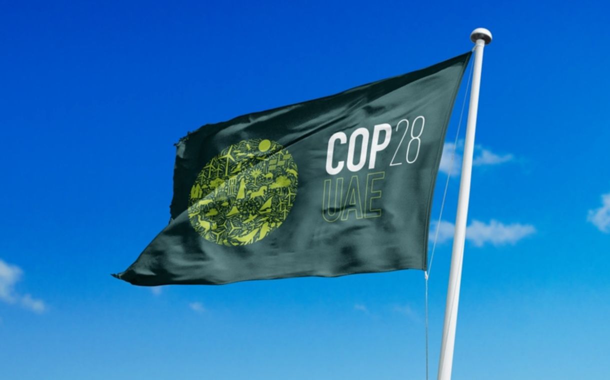 COP28: The UN’s net zero food plan 