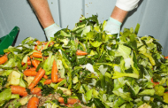 Reduced raises €6m to scale upcycled food ingredient platform