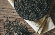 Plant protein partners develop AI tech to improve lentil crops