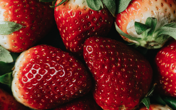 Surexport acquires majority stake in Dutch strawberry producer Jong Fruit