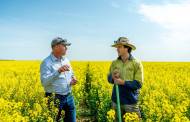 Cargill to reward Australian canola growers for their sustainability efforts