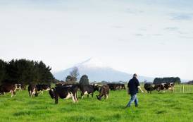 Fonterra to exit consumer-facing business to focus on ingredients