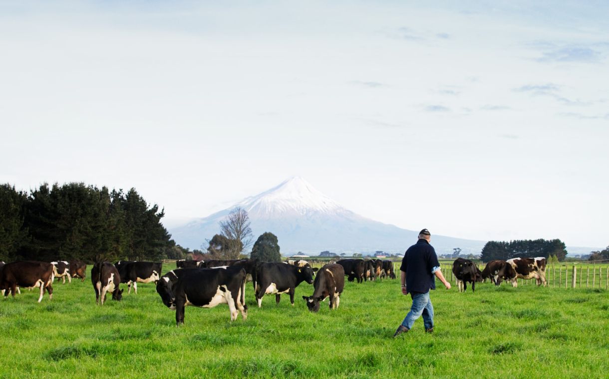 Fonterra confirms plans to close two Waikato dairy plants