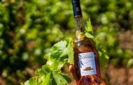 Pernod-backed Château Sainte Marguerite to acquire Aux Terres de Ravel estate