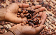 Ivory Coast raises cocoa farmgate price by 50%