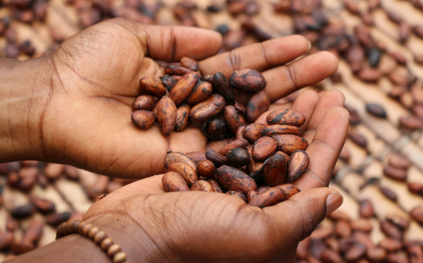 Research: Cocoa beans exported from Côte d'Ivoire linked to deforestation in Liberia