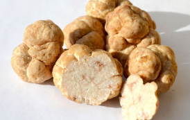 MycoTechnology progresses towards commercialisation of honey truffle sweetener