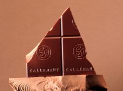 Barry Callebaut chocolate survey results