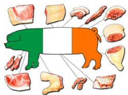 Ireland recalls all pork products