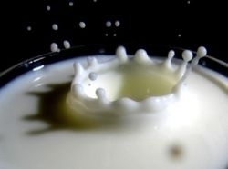 Low-fat dairy may help adolescents